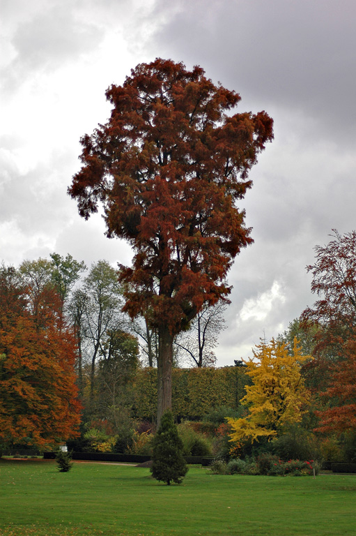 DSC_7318_web.jpg