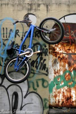 Bicicleta Sebastin