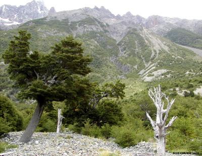 Torres del Paine National Park