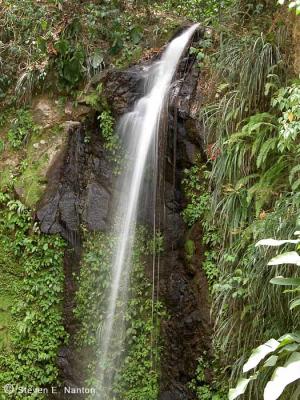 St. Lucia waterfall