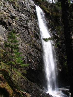 Plodda Falls