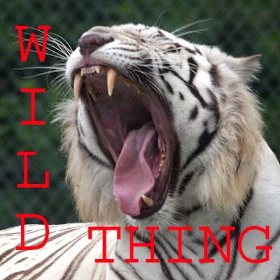 Assignment: Wild Thing