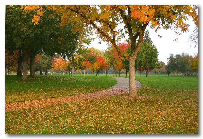 Elk Grove Park 2004