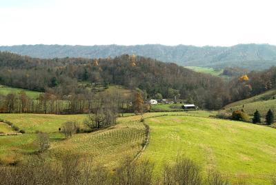 WVCountryside.jpg