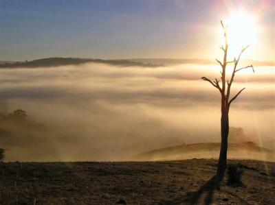 Cool Autumn Morn