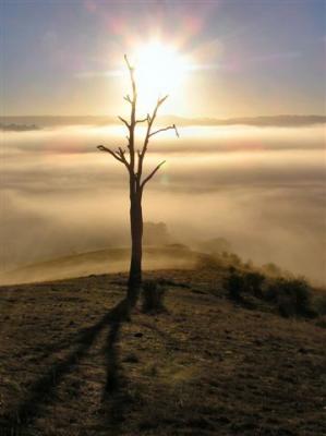 Cool Morning