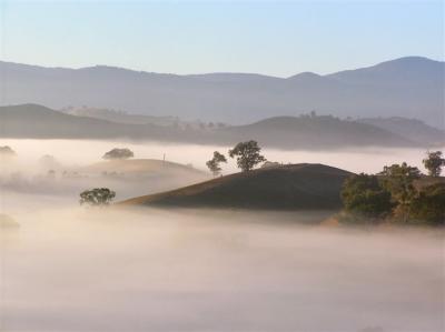Fog island