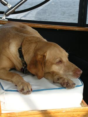 Well-Maybe-a-Boring-Cruise.jpg