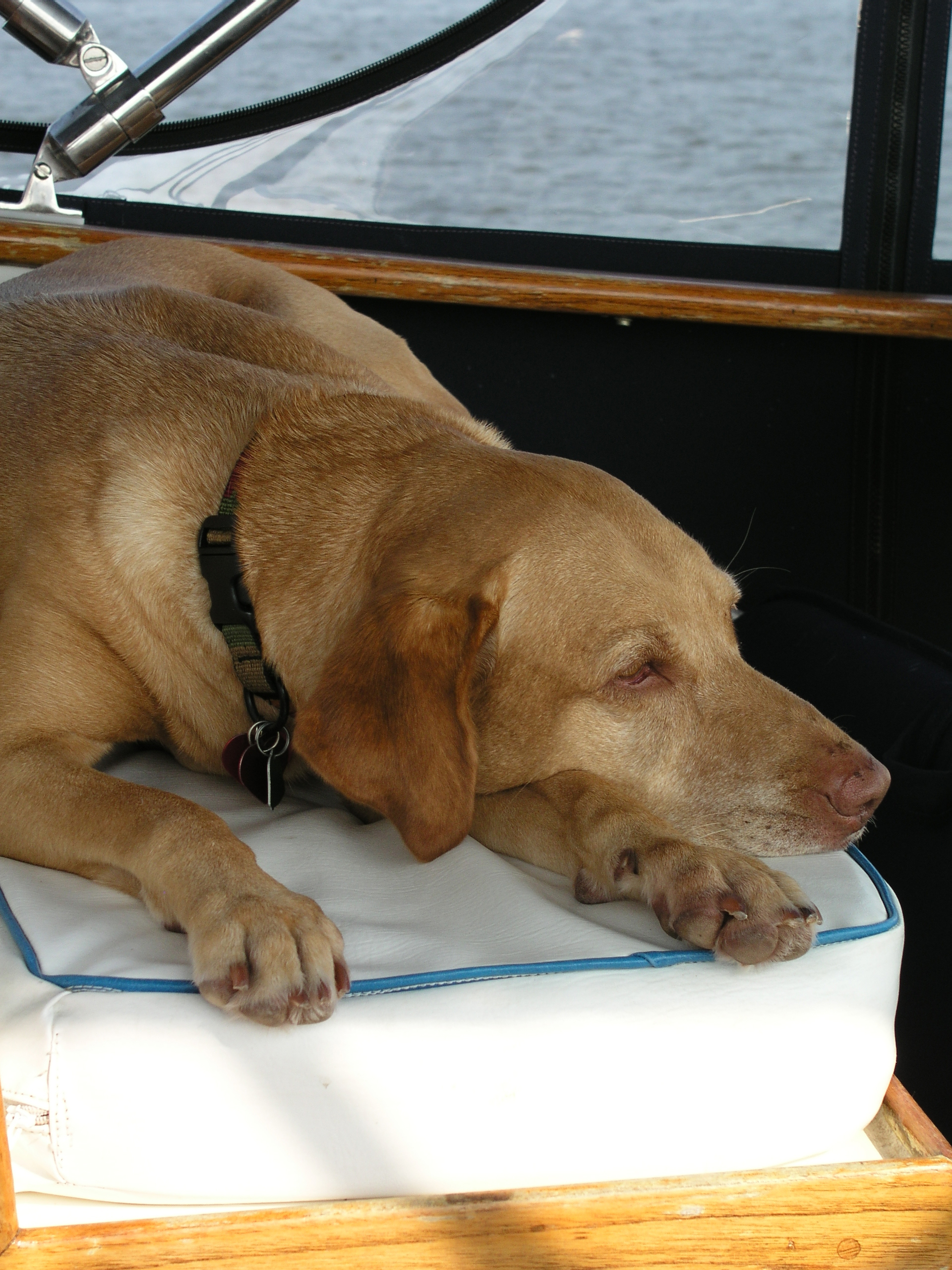 Well-Maybe-a-Boring-Cruise.jpg