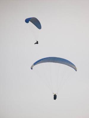 DSC04785.jpg