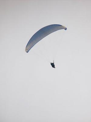 DSC04787.jpg