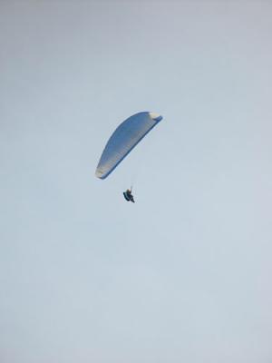 DSC04788.jpg