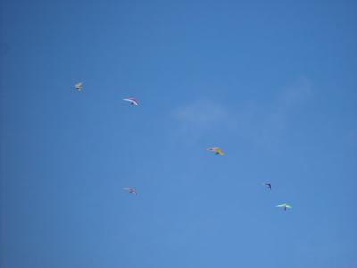 DSC04894.jpg