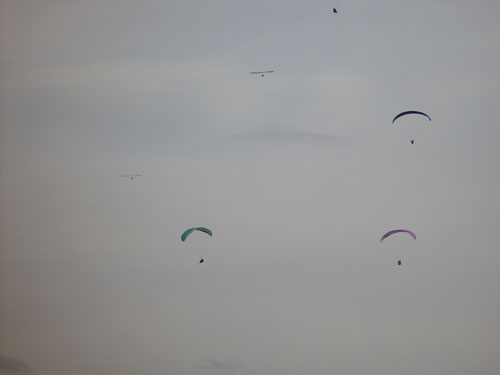 DSC04769.jpg