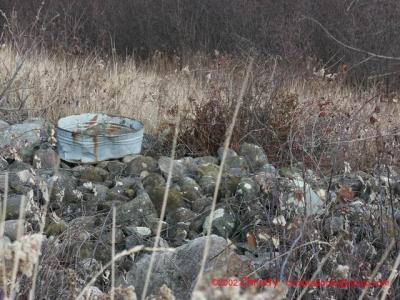 11-22-02 Nature 030.jpg