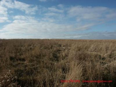 11-22-02 Nature 051.jpg