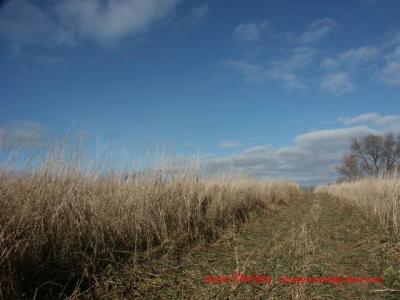 11-22-02 Nature 084.jpg
