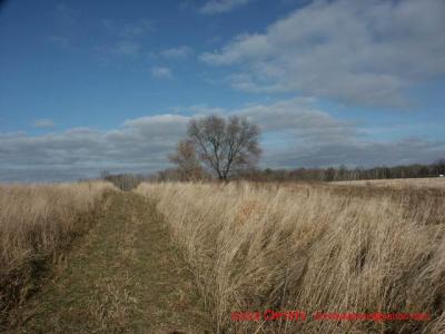 11-22-02 Nature 087.jpg
