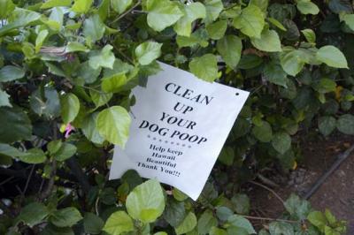 Sign of the Times