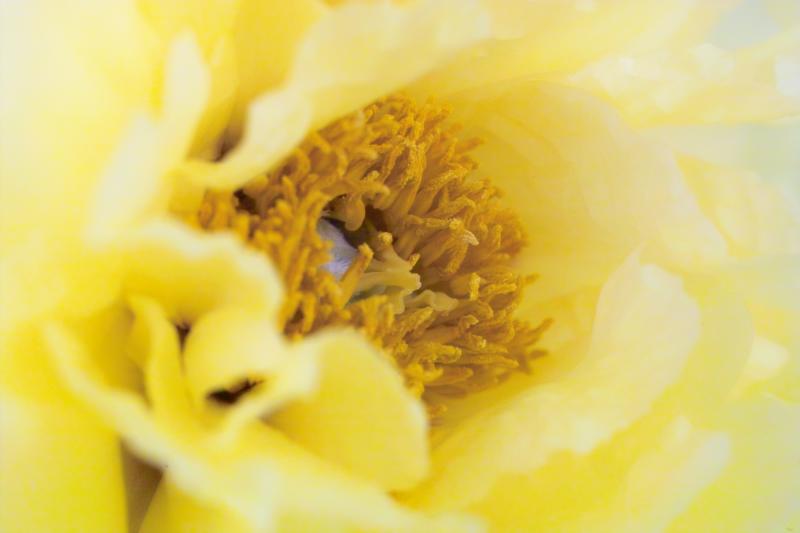 IMG07979.jpg