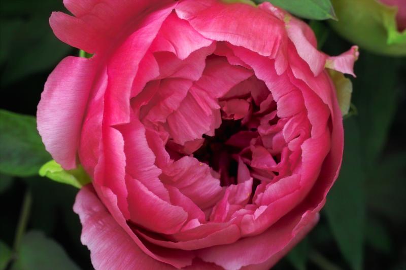 IMG07985.jpg
