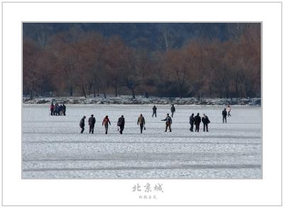 p DSC_1735 freeze lake 01 small.jpg