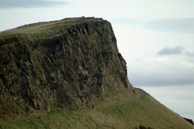 DSCF0951.jpg