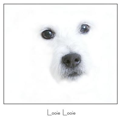 BB2B1935-looie looie.jpg
