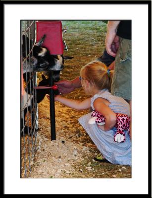 A petting zoo attracts the youngsters and..