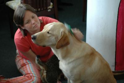 1st May, Luke being brushed