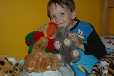 7th May, cuddlies