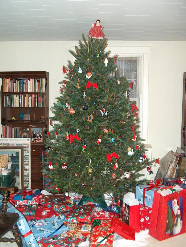 Our lovely Christmas Tree