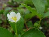 DSC09283.JPG