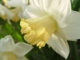 DSC00393.JPG