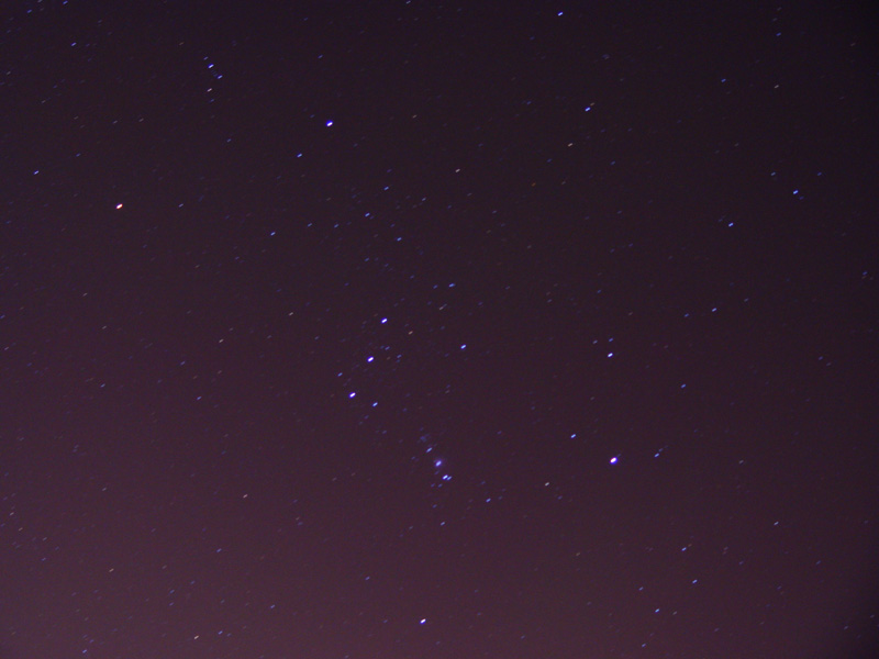 Orion<br>DSC06707.JPG
