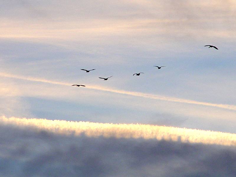 November 9, 2004<br><font size=2>Finding a Compass</font><br>Day 187