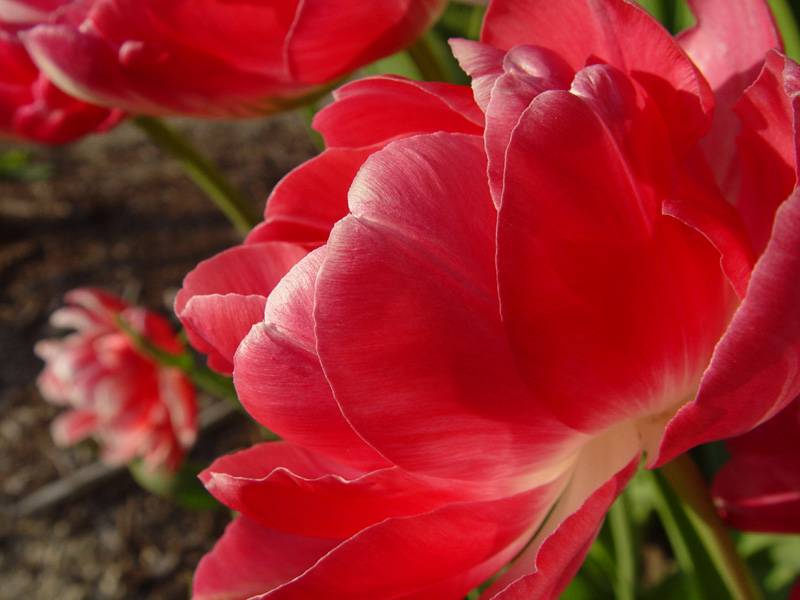 May 5, 2005<br><font size=2>Blaze of Glory</font><br>Day 364