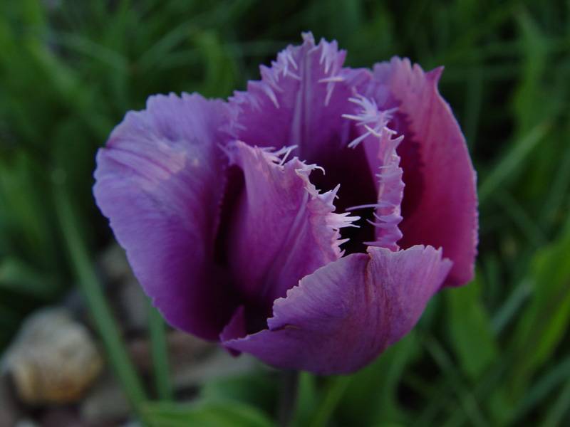 DSC00385.JPG