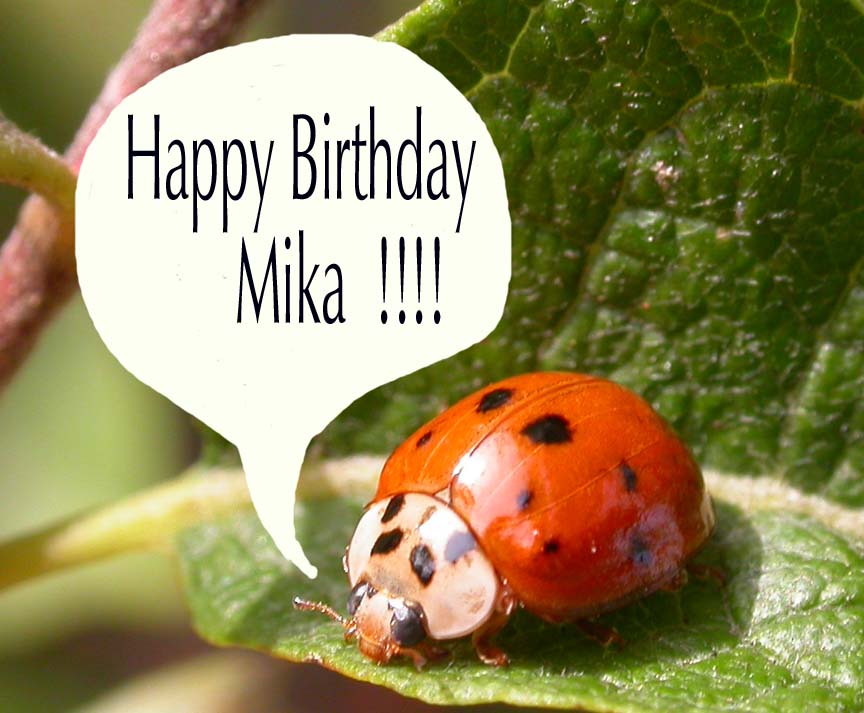 happy-birthday-mika-L.jpg