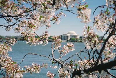 Jefferson Memorial Washington DC.jpg