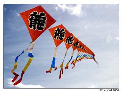 Many Kites *