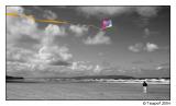 <b>Go Fly a Kite *</b>