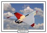<B>Flight of a Dream</B><br><i>by Paul Stuckless</i>