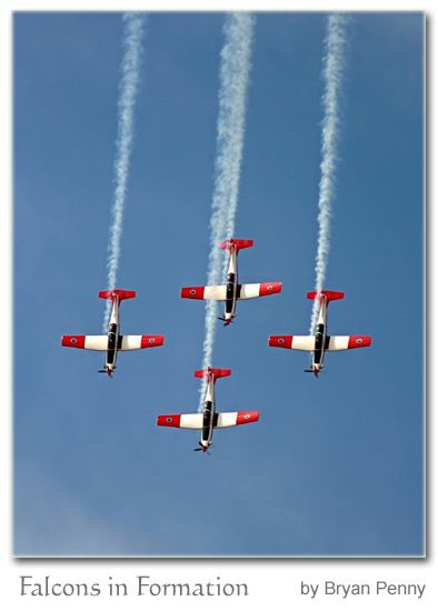 Falcons in Formation