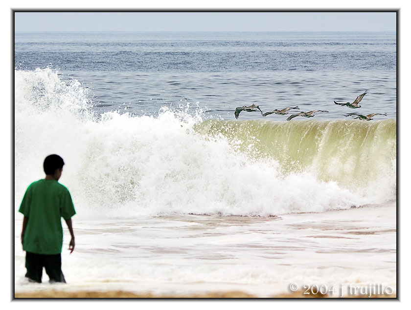 <b>Pelicans on the Surf</b>*<br><i>j trujillo</i>