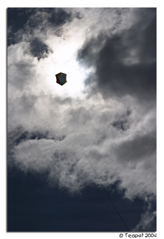 <b>Out of the Sun *</b>