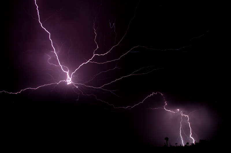 Spider Lightning (*)