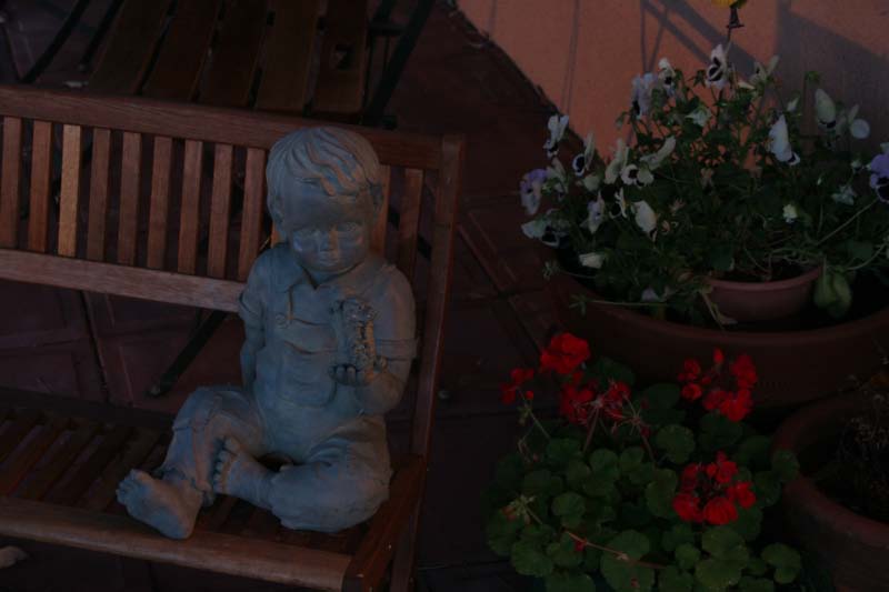 Still Life.jpg