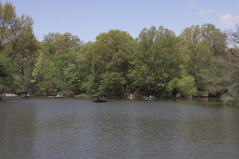 Central Park