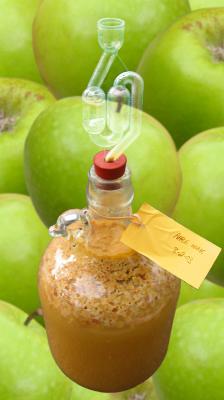 Apple Wine and Photoshop